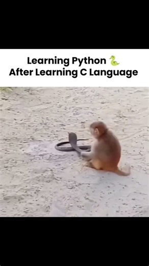 🐍 Learning Python After Mastering C Language
