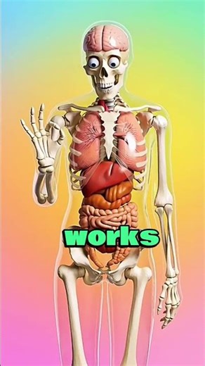 “Subscribe for More Amazing Content! | Fun Skeleton Animation”