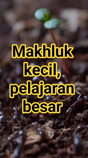 Makhluk kecil, pelajaran besar | Small creature, big lesson