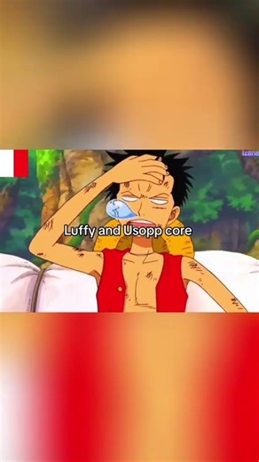 Luffy et Usopp imitent les autres de façon amusante. #abonnetoi #conseil #anime #france #animeedit
