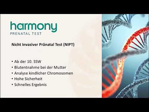 Harmonytest (NIPT) beim Kind in der Schwangerschaft - Frauenarztpraxis am Potsdamer Platz
