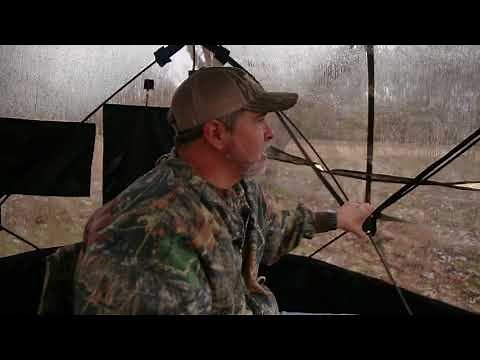 Primos Double Bull SurroundView in Rain