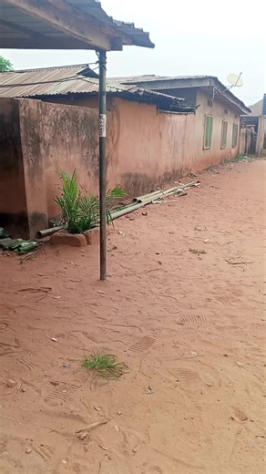 Juggling Skills with a Phone: A Unique Football Trick