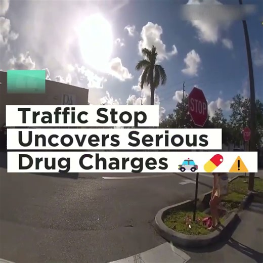 **Grocery Store Disturbance Escalates Into Arrest 🛒🚓⚠️** On June 24th, 2025, police responded to a Publix after a woman refused to leave and became increasingly disruptive, leading officers to intervene and ensure public safety. Watch to see how repeated chances to de-escalate can change the outcome — for better or worse. #PublicSafety #CommunityAwareness #PoliceResponse #KnowTheLaw | Code 360