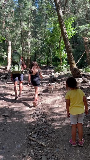 I hike a lot woth the kids without their Dad. I am proud that they get to see me do hard things. So they know that they can too. #hikingwithkids #kidswhohike #hikelikeawoman #hikelikeagirl