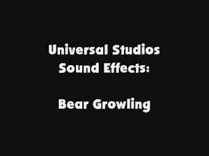 Universal Studios SFX Bear Growling