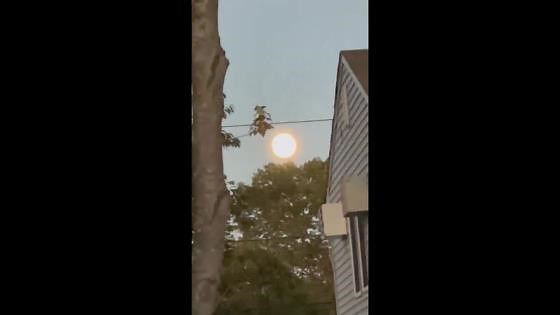Full moon timelapse from early evening to night in Selden, New York, USA