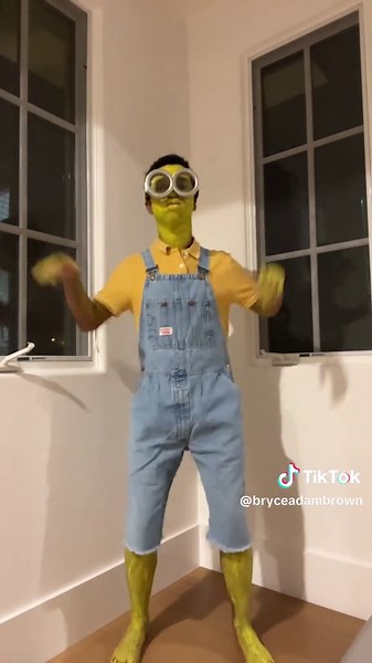 Minion Adventures: Don't Hurt EMMM