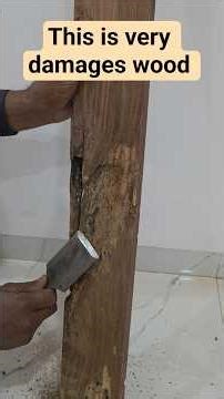 Repairing Rotten Wood Like a Pro 😮 | Wood Repair with Glue & Sawdust #Shorts #shortvideo