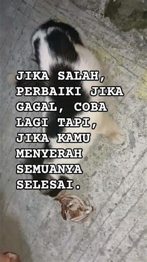 Kata-kata bijak jangan sampai menyerah