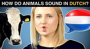 Woef woef, miaaauw and boeeee - How do animals sound in DUTCH? - Learn Dutch Online