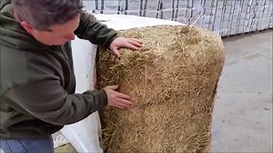 100 reactions · 24 shares | Do you need affordable cow feed? We have triticale wrapped in 3x4 square bales. Moisture around 24% Tested 19.2 protein. 184 RFQ and 4299Lb milk per ton DM. We can deliver this by the semi load or mix it with other types of large square bale hay or straw to make a combined load. Call our office at 8007473811 or text 8459011892. Our prices include delivery anywhere in the Northeast or Mid Atlantic states. | Aden Brook | Facebook