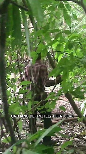 There's a 4% chance they caught a crocodile | The Island with Bear Grylls