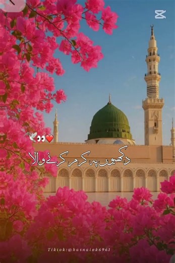 Muhammad(saw)💕💕💕💕🤲🤲🤲🙏🙏🙏🙏🌺🌺🌺