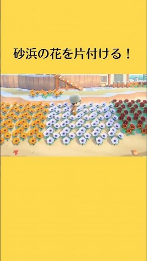 【あつ森】アプデ後の新機能！リセット片付けセンター｜リセットさんに砂浜の花を片付けてもらう #あつ森 #あつまれどうぶつの森 #animalcrossingnewhorizons #acnh