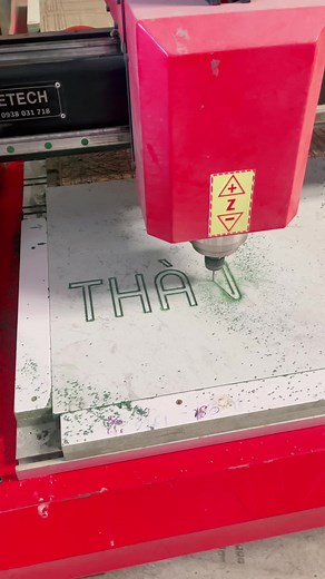 Bảo bảo trên TikTok