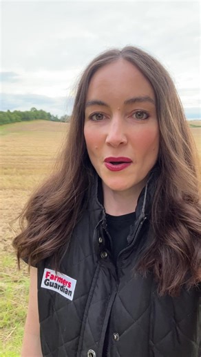 📣 📣 #FARM24 IS A GO! 📣 📣 It's 5am and the 24 hours in farming campaign has started! Farmers it is YOUR time to shine 🙌 https://bit.ly/3ptvZOW We want to see your pictures and your videos! We want to hear your thoughts and hear you shout loud why you support British farming! 🇬🇧 #FARM24 #FarmingCAN Morrisons Farming CAN #supportbritishfarming #farming #agriculture #buybritish #farmlife #weareagriculture | Farmers Guardian