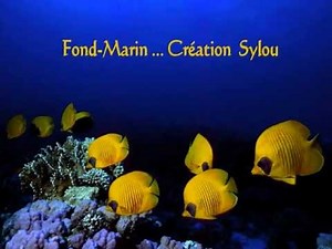 Les Fonds Marins