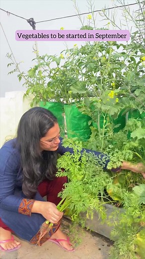 What to grow in September | Mud and Colors