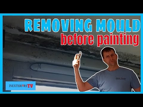 How to remove mould from a wall or ceiling before painting.