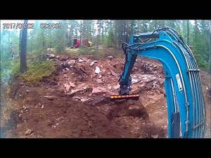 Minibagger 1.9 Tonnen mit Tilt bei der Arbeit (im Einsatz im Wald)