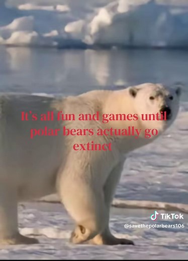 Why Polar Bears Need Our Help Now