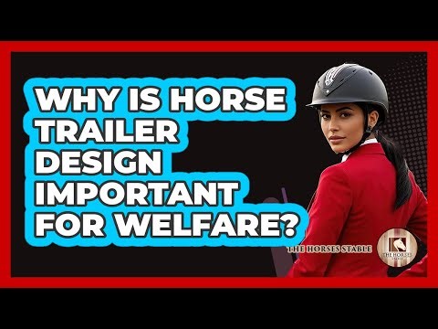 Why Is Horse Trailer Design Important For Welfare? - The Horses Stable