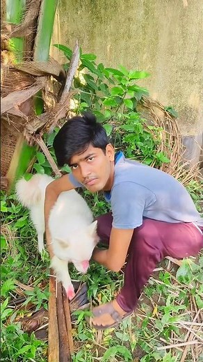 গুলুর পায়ে আলতা দিয়ে প্র্যাংক করে 🤣 #shorts