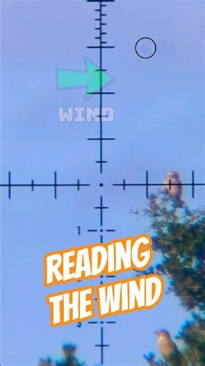 Reading the wind | 18gr Pellets at 880fps #fxairguns