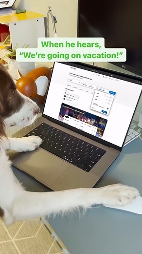 This is what happens when your pet is the main character. | trivago