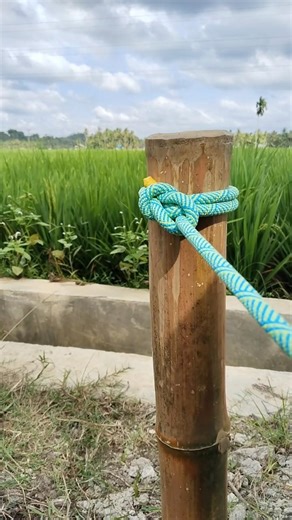 Easy slip knot tutorial, clean white background,, YouTubeShorts #KnotTutorial #LifeHacksUSA #U S A