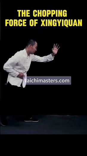 Mastering the Monkey: Xing Yi Quan's Primal Agility