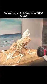 What Happens When You SIMULATE an Ant Colony for 1000 Days? #animals #cute