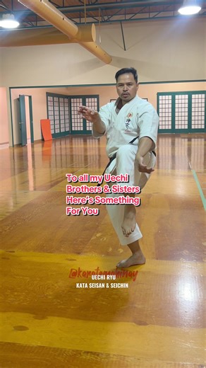 Uechi Karate Journey: Join the Practice Community