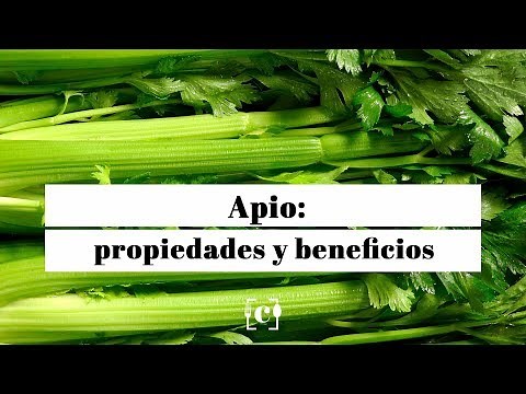 Apio: propiedades, beneficios y valor nutricional