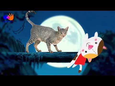 Learn the Alphabet with Animals Talking ABC Animal from A to F for kids Hand Play TV