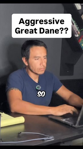 11 reactions · 3 comments | Fear Aggressive Great Dane? Consultation & Training Approach #dogtraining #greatdane #boardandtrain | Dog Training is my Passion | Facebook