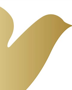 The Dove you’ve always trusted, now even gentler. Vegan-friendly. Cruelty-free. Free from parabens and silicones. Because caring for your hair should never come at the cost of your values. | Dove
