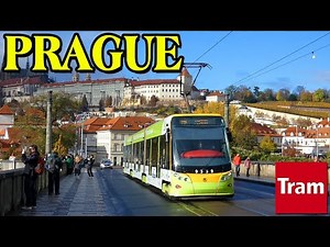 Trams in Prague 🇨🇿 • November 2023