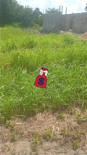 no time🕰#BorsuGardening