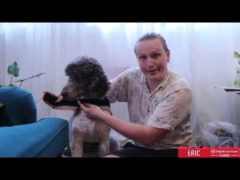 Thundershirt Dog Anxiety Jacket – Calming Wrap for Large Dogs (Pink) 🐾#CalmDog