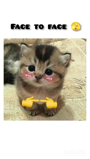 in chat vs face to face 🫣 #artist #art #slowedandreverb #music #nomoresadsongs