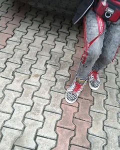 MY WIG DANCE X ZLATAN IBILE IS TAKING OVER ! STEPPING OUT IN A BIT FOR A MIND BLOWING PERFORMANCE TODAY!! HIT MY BIO TO DOWNLOAD 'WIG DANCE X ZLATAN IBILE GREAT WEEKEND AHEAD GUYZ. #OzzyBee #wigdance #journeyoflife #albumlaunch | OzzyBee