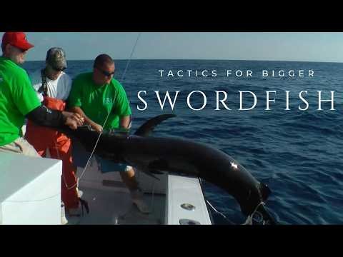 Tactics and Techniques for Catching Bigger Swordfish | In The Spread Fishing Videos