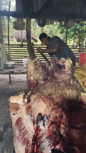 Can We Grill a Whole Cow in the FREEZING Cold?