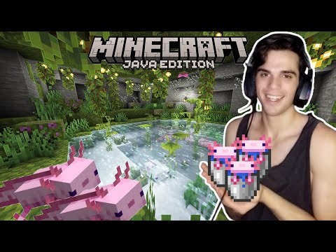 Minecraft Java: I found Axolotl #33
