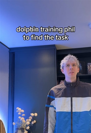 dolphin training phil to find the task | dolphin training game