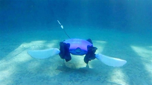 Shape-shifting robot: Walks on land, swims in the sea