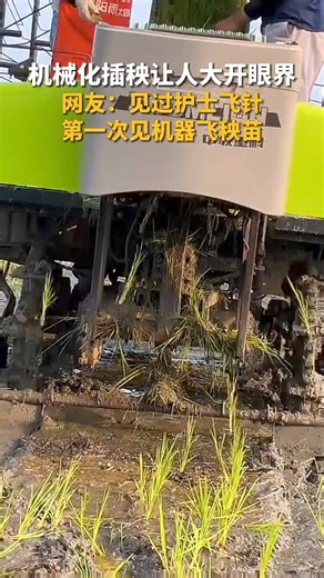 【Video】#Chinese farmers use modern agricultural machinery to make planting rice seedlings easier and more efficient. #ChineseModernization | Global Times