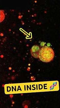 Chemists provide glimpse into early life | Headline Science